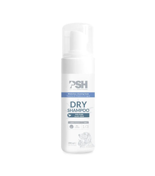 DRY SHAMPOO (Sausas šampūnas)