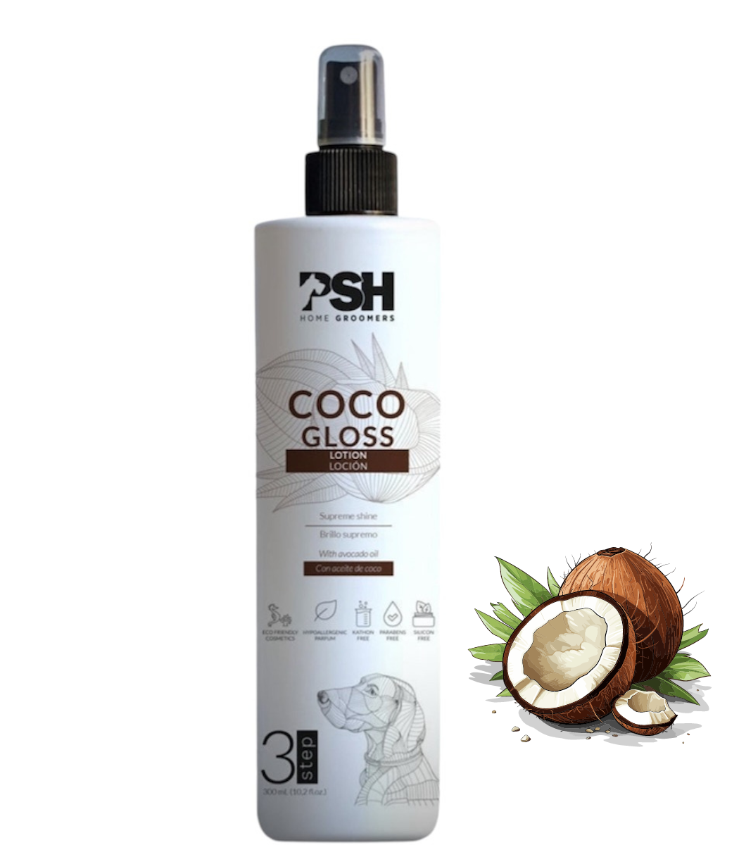 COCONUT GLOSS žvilgantis losjonas - PSH Kosmetika