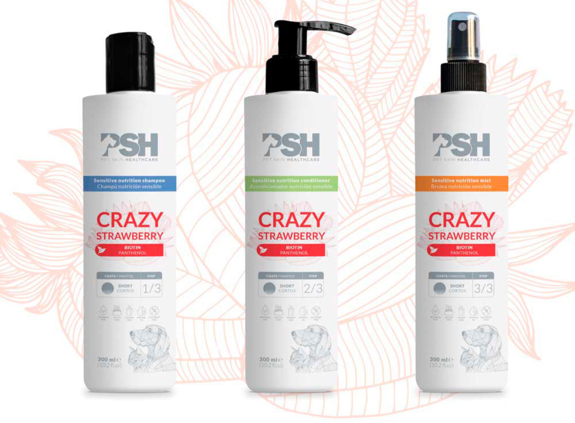 Rinkinys CRAZY STRAWBERRY - šampūnas, kondicionierius, losjonas.