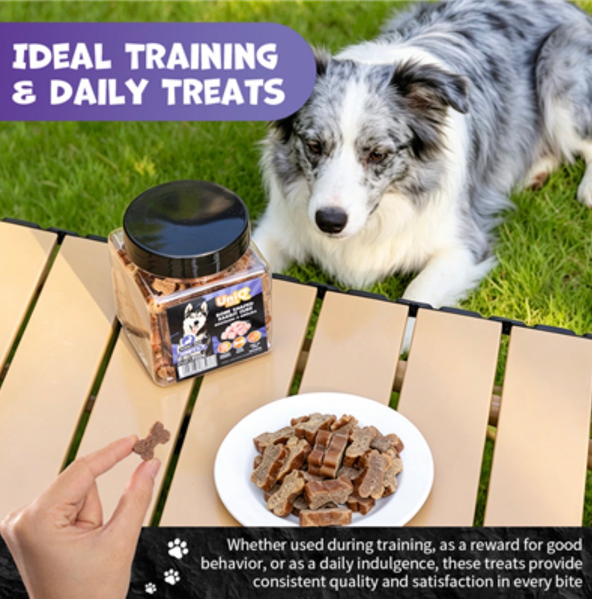 UNIQ PETS „SNIFFY“ skanėstai šunims, 200 g indelis – triušienos kubeliai kaulo formos