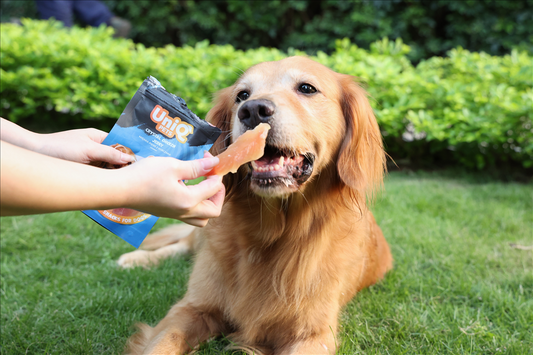 Skanukai Crystal chicken jerky
