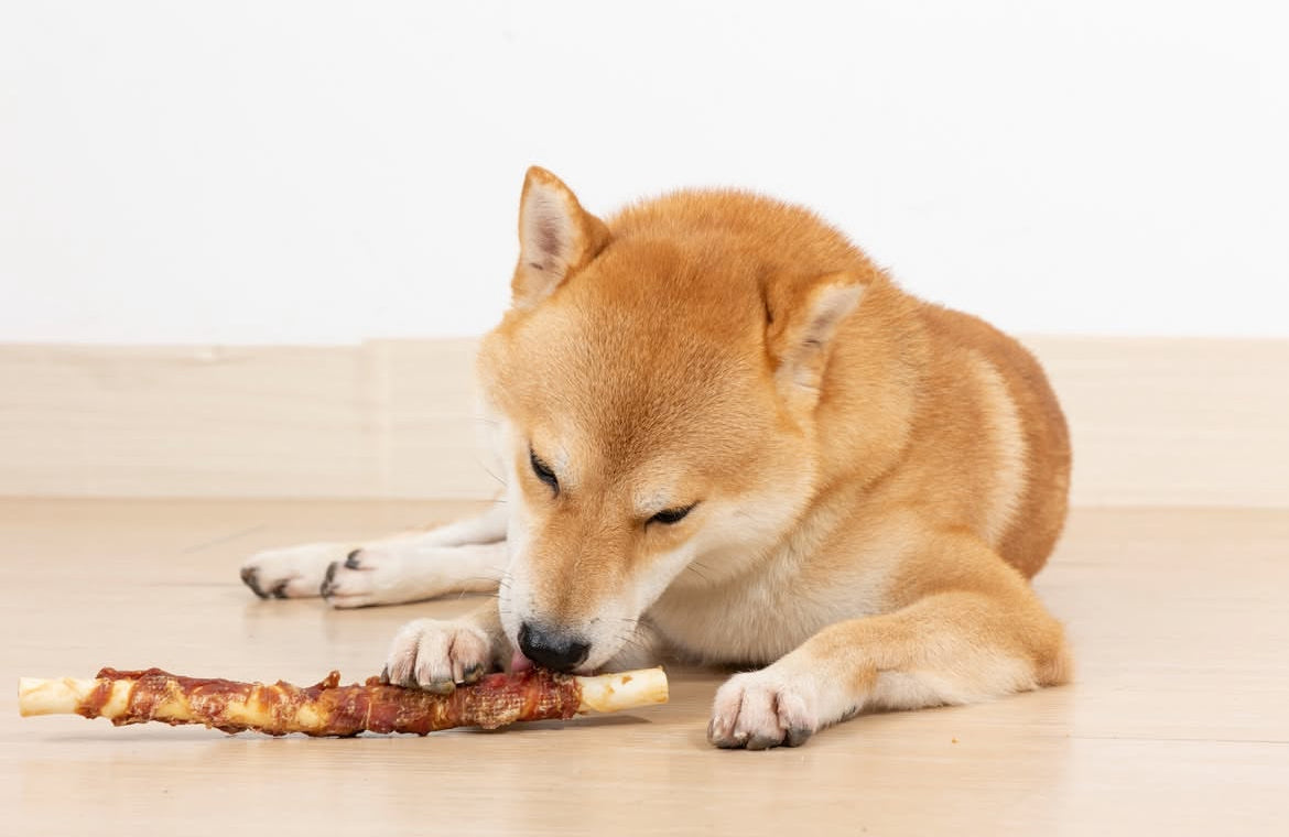 Skanukai duck wraps rawhide sticks 28cm