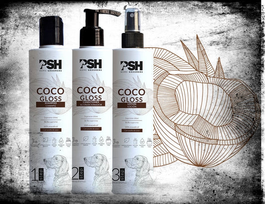 Set COCONUT GLOSS - shampoo, conditioner, lotion