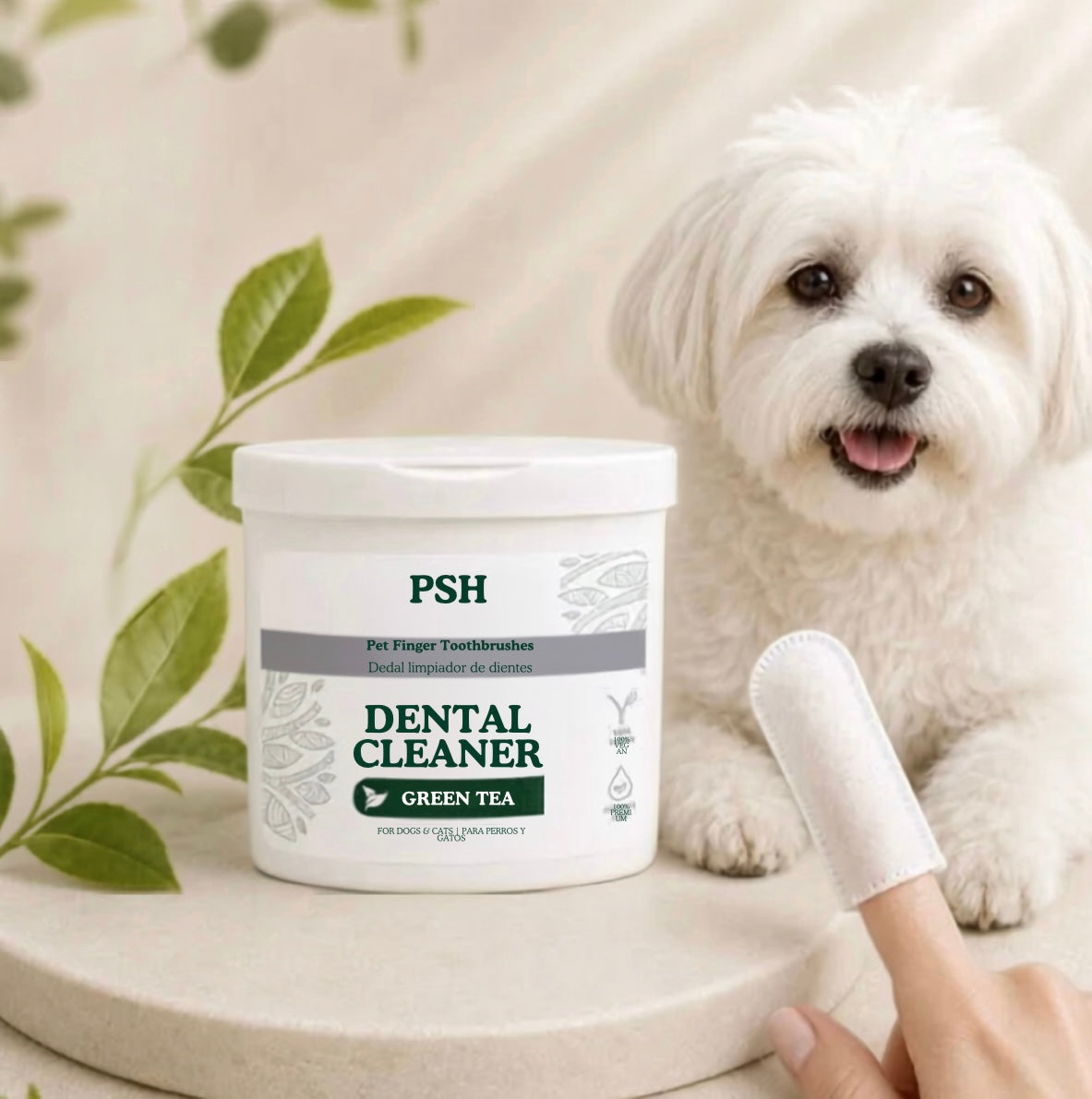 DENTAL CLEANER