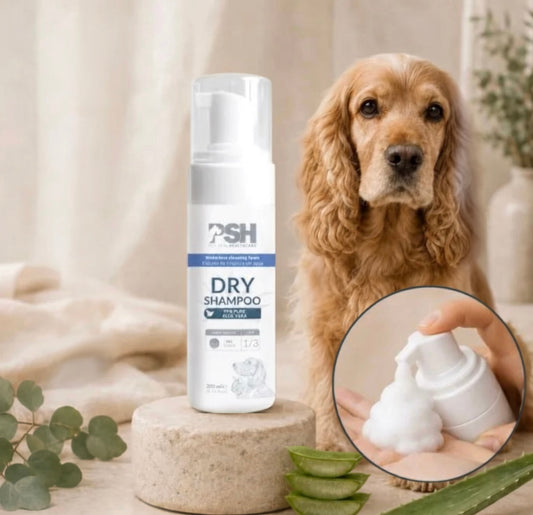 DRY SHAMPOO (Sausas šampūnas)
