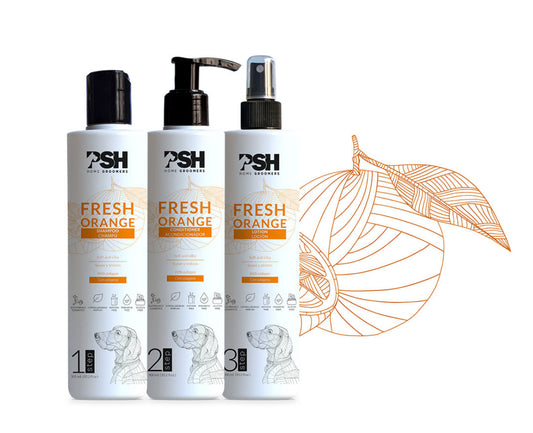 Rinkinys FRESH ORANGE - šampūnas, kondicionierius, losjonas
