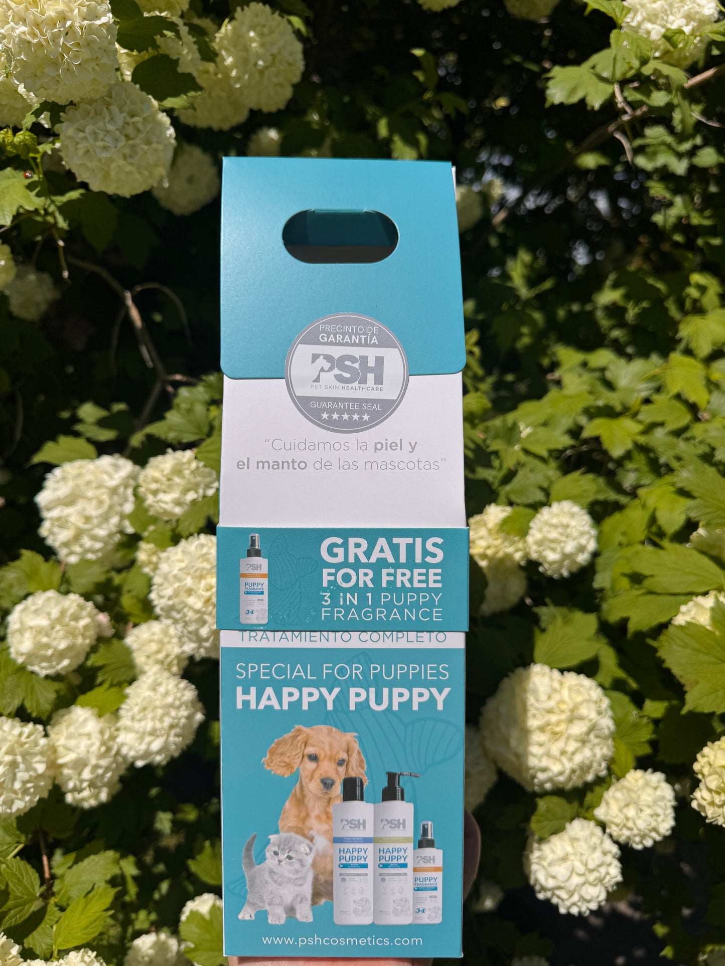 Gift Pack - Happy Puppy